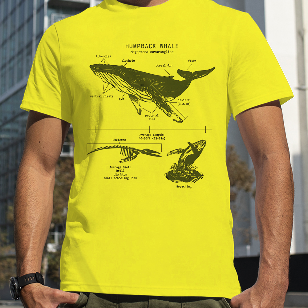 Street Fashion Loverboy - Humpback Whale Anatomy Shark Lover T-Shirt