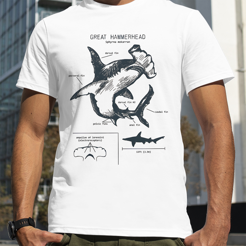 Hammerhead Shark Anatomy Shark – Street Fashion Loverboy recenzja i cena